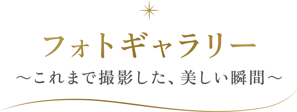 フォトギャラリー